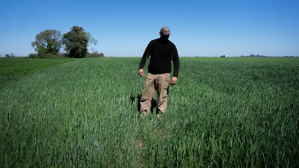 Bancos apostam em boom agrícola argentino após Milei cortar tarifas de exportação Bancos apostam em boom agrícola argentino após Milei cortar tarifas de exportação