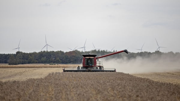 Calendário de balanços: BrasilAgro abre temporada das empresas agro Calendário de balanços: BrasilAgro abre temporada das empresas agro