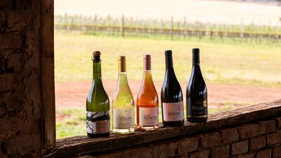 Este empresário criou um terroir de vinhos em SP. E aprendeu os desafios do setor Este empresário criou um terroir de vinhos em SP. E aprendeu os desafios do setor