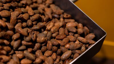 Impacto na xícara: pressão dos EUA sobre o Brasil e seca elevam preço global do café Impacto na xícara: pressão dos EUA sobre o Brasil e seca elevam preço global do café