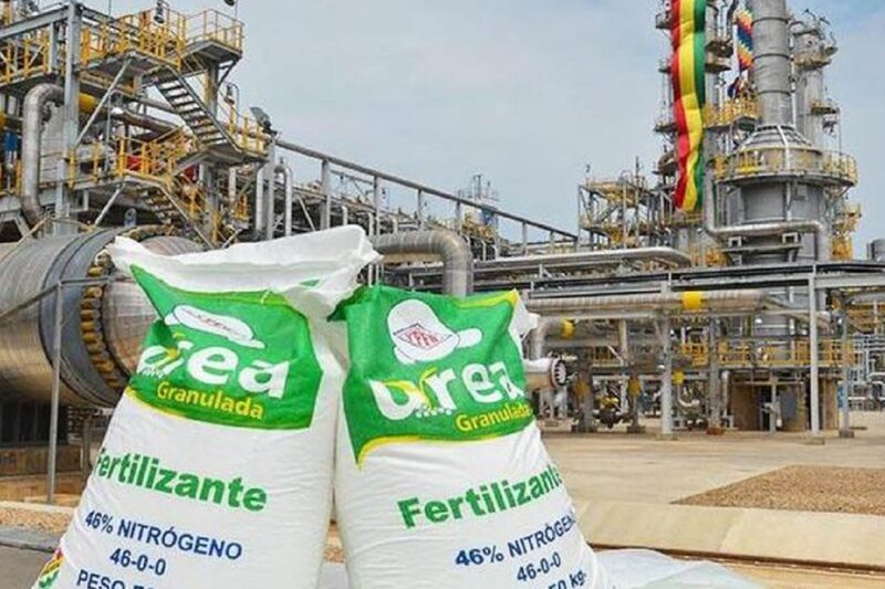 La norma que permite extender el plazo para la compra de fertilizantes en Perú fue autorizada por el presidente Pedro Castillo. La norma que permite extender el plazo para la compra de fertilizantes en Perú fue autorizada por el presidente Pedro Castillo.