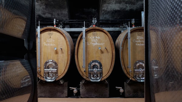 Riesling: como o vinho alemão busca quebrar a resistência no mercado brasileiro Riesling: como o vinho alemão busca quebrar a resistência no mercado brasileiro