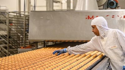 Pão artesanal de fábrica: a aposta de 50 mi da Norac para popularizar brioche no Brasil Pão artesanal de fábrica: a aposta de 50 mi da Norac para popularizar brioche no Brasil