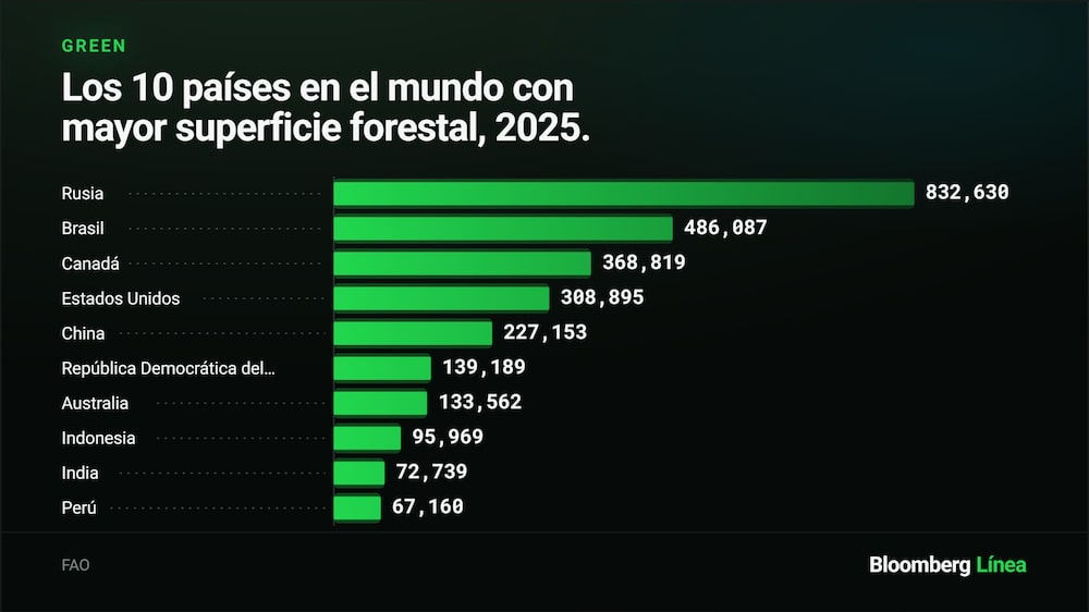 Bosques. Bosques.