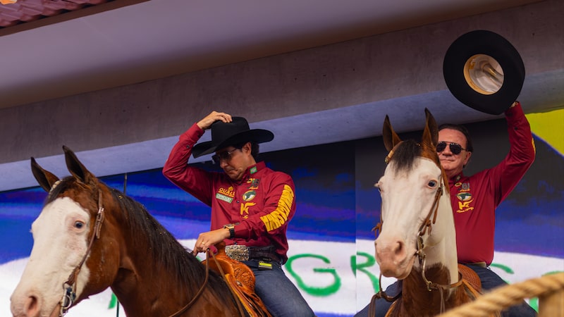 Leilão da JBJ Ranch em Goiás tem cavalo vendido a R$ 44 milhões e supera expectativas Leilão da JBJ Ranch em Goiás tem cavalo vendido a R$ 44 milhões e supera expectativas