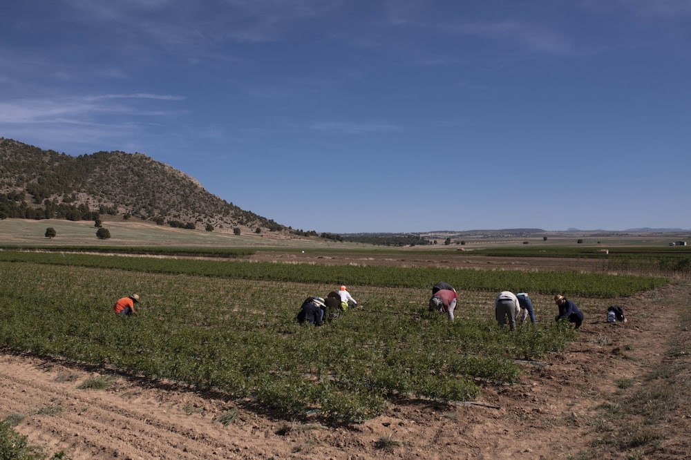 Agricultores Agricultores