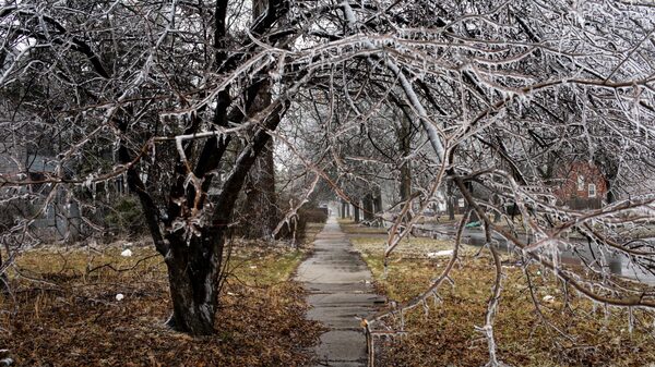 Suministro electríco en Michigan deja 471.000 personas sin servicio tras tormenta de hielo Suministro electríco en Michigan deja 471.000 personas sin servicio tras tormenta de hielo