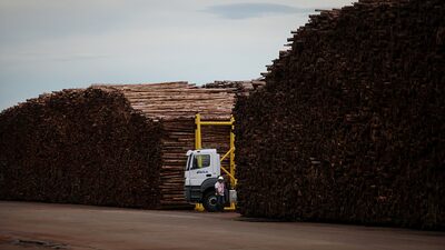 J&F toma crédito de R$ 15 bi com o Bradesco após acordo pela Eldorado, dizem fontes J&F toma crédito de R$ 15 bi com o Bradesco após acordo pela Eldorado, dizem fontes