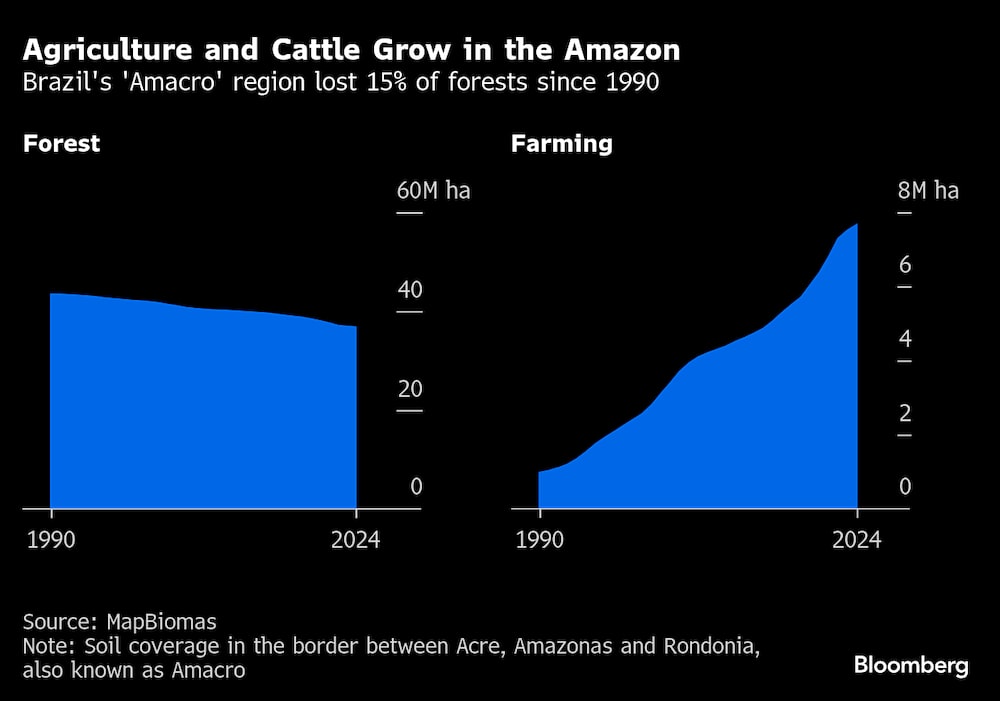 La agricultura y la ganadería crecen en el Amazonas. La agricultura y la ganadería crecen en el Amazonas.