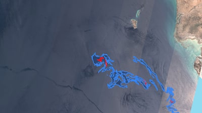 Imágenes satelitales muestran aumento de manchas de petróleo del Golfo Pérsico durante la guerra Imágenes satelitales muestran aumento de manchas de petróleo del Golfo Pérsico durante la guerra