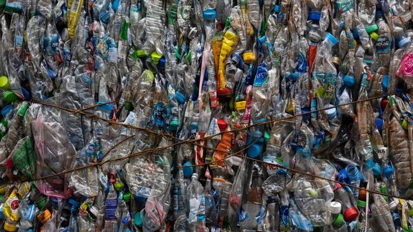 Estudio destaca la factibilidad de producir bioplásticos en República Dominicana Estudio destaca la factibilidad de producir bioplásticos en República Dominicana