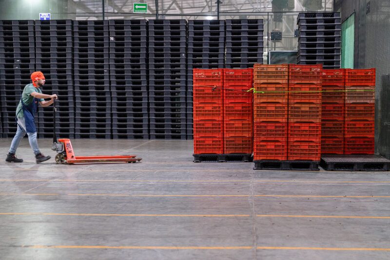 A worker transports crates of freshly picked avocados at a packaging facility in Uruapan, Michoacan state, Mexico, on Tuesday, March 18, 2025. US President Donald Trump this month imposed 25% tariffs on goods from Mexico and Canada, but then gave a reprieve until April 2 on items that fall under the North American trade agreement. Photographer: Stephania Corpi/Bloomberg A worker transports crates of freshly picked avocados at a packaging facility in Uruapan, Michoacan state, Mexico, on Tuesday, March 18, 2025. US President Donald Trump this month imposed 25% tariffs on goods from Mexico and Canada, but then gave a reprieve until April 2 on items that fall under the North American trade agreement. Photographer: Stephania Corpi/Bloomberg