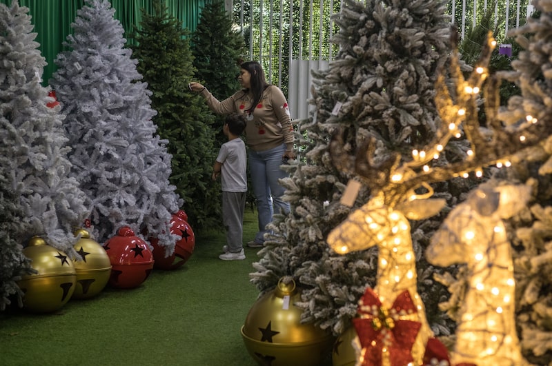 Os eventos de iluminação das árvores já estão marcados no calendário e as crianças fazem fila nos shoppings para tirar fotos com o Papai Noel Os eventos de iluminação das árvores já estão marcados no calendário e as crianças fazem fila nos shoppings para tirar fotos com o Papai Noel