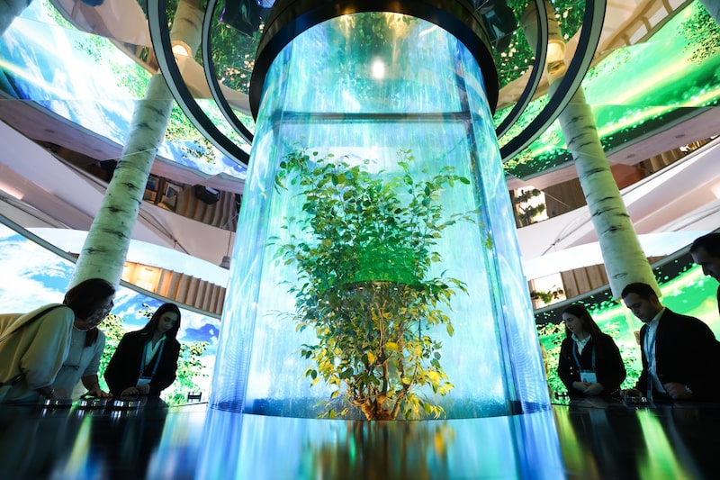 Sessão de abertura da COP29 aconteceu nesta segunda (11), em Baku, no Azerbaijão. Expectativa de acordo final sobre mercado de carbono segue (Foto: John Ainger) Sessão de abertura da COP29 aconteceu nesta segunda (11), em Baku, no Azerbaijão. Expectativa de acordo final sobre mercado de carbono segue (Foto: John Ainger)