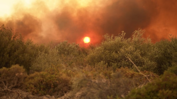 La Tierra se está calentando más rápido de lo estimado anteriormente, advierte un estudio La Tierra se está calentando más rápido de lo estimado anteriormente, advierte un estudio