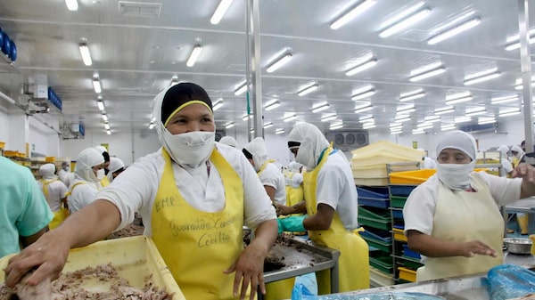 Ecuador permite redistribuir la jornada laboral de 40 horas: así funciona la nueva norma Ecuador permite redistribuir la jornada laboral de 40 horas: así funciona la nueva norma