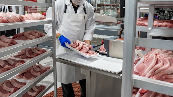 Las nuevas directrices dietéticas de EE.UU. incluyen mucha carne y emisiones de carbono Las nuevas directrices dietéticas de EE.UU. incluyen mucha carne y emisiones de carbono