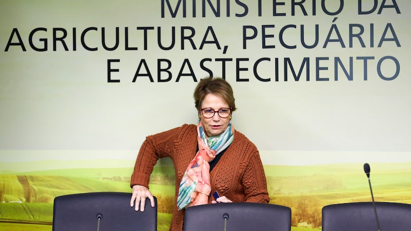 Tereza Cristina diz que agropecuária brasileira é solução para desafios de economia sustentável Tereza Cristina diz que agropecuária brasileira é solução para desafios de economia sustentável