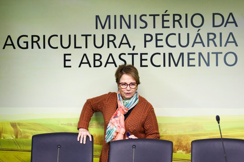 A ministra da Agricultura, Pecuária e Abastecimento, Tereza Cristina, disse que setor produtivo brasileiro pode ser solução para uma economia sustentável de baixo carbono A ministra da Agricultura, Pecuária e Abastecimento, Tereza Cristina, disse que setor produtivo brasileiro pode ser solução para uma economia sustentável de baixo carbono