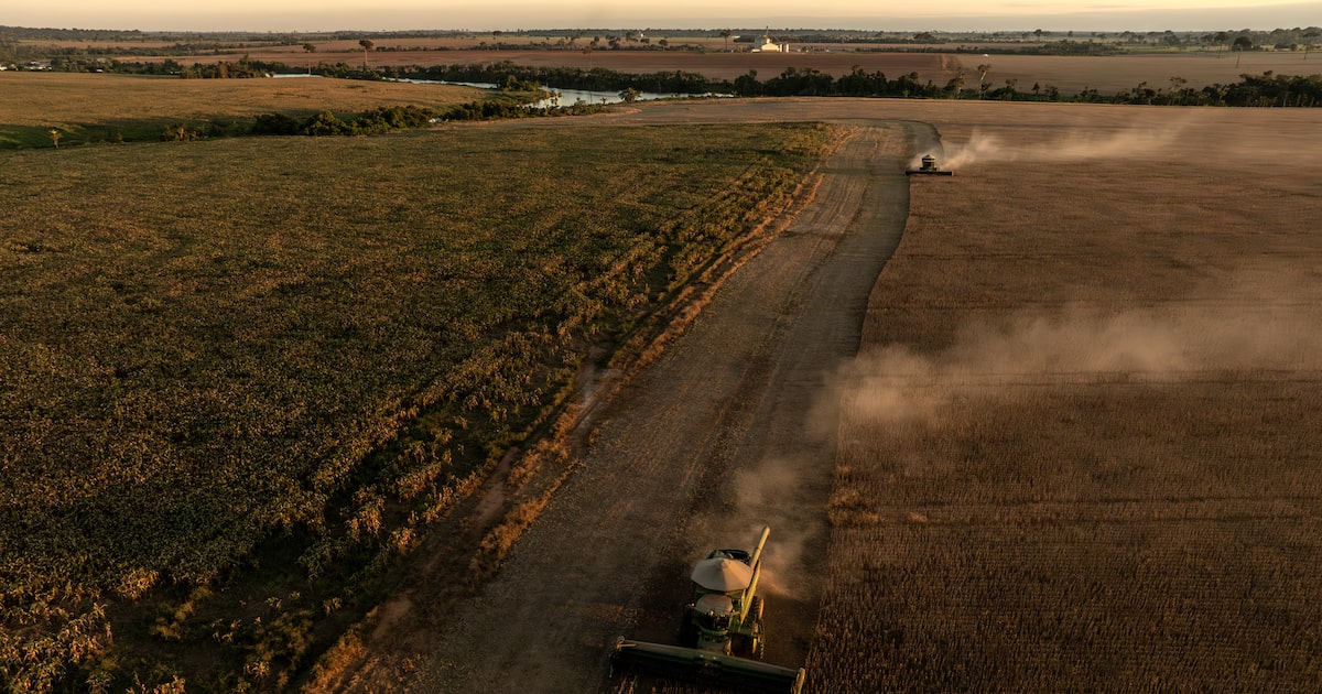 Brasil podría liderar exportaciones agrícolas en 2026