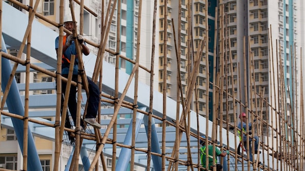 El bambú se convierte en foco de debate tras trágico incendio en Hong Kong con 146 muertos El bambú se convierte en foco de debate tras trágico incendio en Hong Kong con 146 muertos