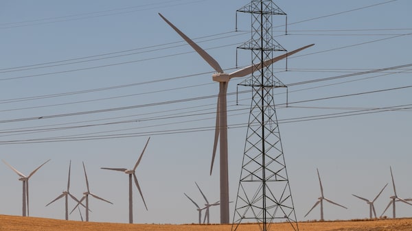 Un rally “fantástico” expone los límites de Trump mientras las acciones verdes se disparan Un rally “fantástico” expone los límites de Trump mientras las acciones verdes se disparan