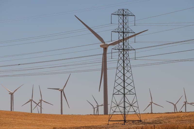 Los valores ecológicos han ganado porque los inversores apuestan a que la demanda de electricidad seguirá aumentando. Los valores ecológicos han ganado porque los inversores apuestan a que la demanda de electricidad seguirá aumentando.