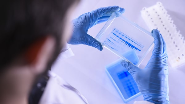 La caída de la biotecnología está vaciando los laboratorios La caída de la biotecnología está vaciando los laboratorios