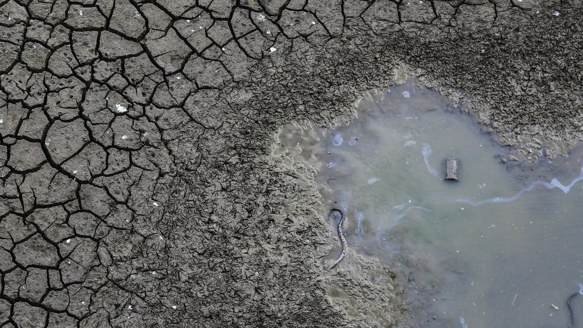 El Niño eleva el riesgo para las tasas de interés en América Latina: los países más expuestos