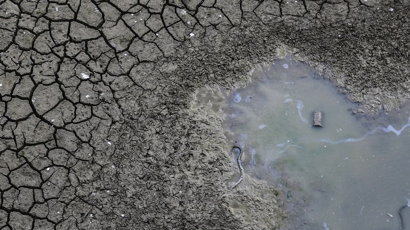 El Niño eleva el riesgo para las tasas de interés en América Latina: los países más expuestos El Niño eleva el riesgo para las tasas de interés en América Latina: los países más expuestos