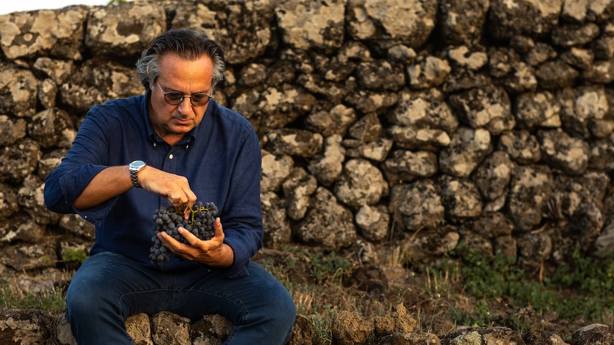 Contra crise no setor de vinhos, Mario Piccini, quer uma bebida simples e popular (Foto: Divulgação)