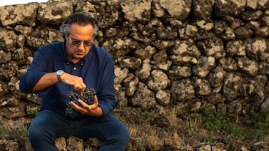 ‘Vinho deve ser simples’: Piccini recusou premiumização e cresceu 15% em meio a crise ‘Vinho deve ser simples’: Piccini recusou premiumização e cresceu 15% em meio a crise