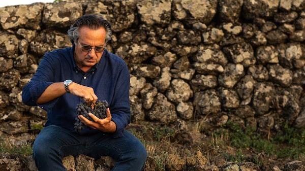 ‘Vinho deve ser simples’: Piccini recusou premiumização e cresceu 15% em meio a crise ‘Vinho deve ser simples’: Piccini recusou premiumização e cresceu 15% em meio a crise
