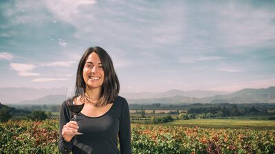 ‘Maior vinícola orgânica do mundo’ vê mercado para vinhos premium no Brasil ‘Maior vinícola orgânica do mundo’ vê mercado para vinhos premium no Brasil