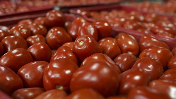 Supermercado de Reino Unido raciona la venta de frutas y verduras tras escasez Supermercado de Reino Unido raciona la venta de frutas y verduras tras escasez