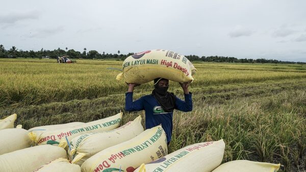 Agricultura crece menos que la economía colombiana: señales de alerta para 2026 Agricultura crece menos que la economía colombiana: señales de alerta para 2026