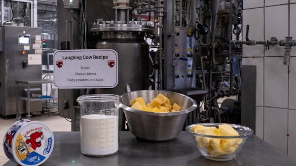 Do lanche europeu aos EUA: a estratégia centenária da marca do ‘queijo da vaquinha’ Do lanche europeu aos EUA: a estratégia centenária da marca do ‘queijo da vaquinha’