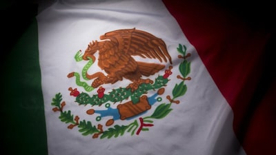 México entrega a EE.UU. 37 presos vinculados a carteles de la droga México entrega a EE.UU. 37 presos vinculados a carteles de la droga