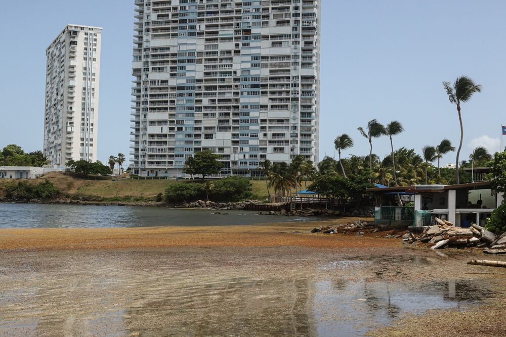 Imagen de Puerto Rico Imagen de Puerto Rico