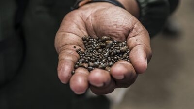 Copper is the New Gold for Illegal Amazon Miners as Prices Surge Copper is the New Gold for Illegal Amazon Miners as Prices Surge