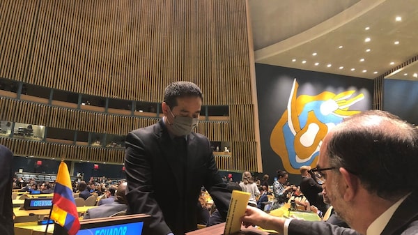 Ecuador vuelve al Consejo de Seguridad de la ONU 30 años después Ecuador vuelve al Consejo de Seguridad de la ONU 30 años después