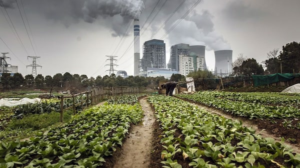 China alcanzaría meta climática antes de lo previsto pese a respaldo al carbón China alcanzaría meta climática antes de lo previsto pese a respaldo al carbón