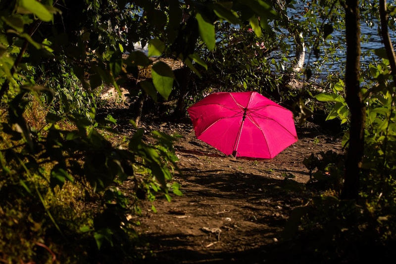 Una sombrilla en un parque durante una gran ola de calor. Una sombrilla en un parque durante una gran ola de calor.