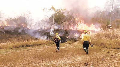 Bolivia declara desastre nacional por incendios y busca créditos para atenderlos Bolivia declara desastre nacional por incendios y busca créditos para atenderlos