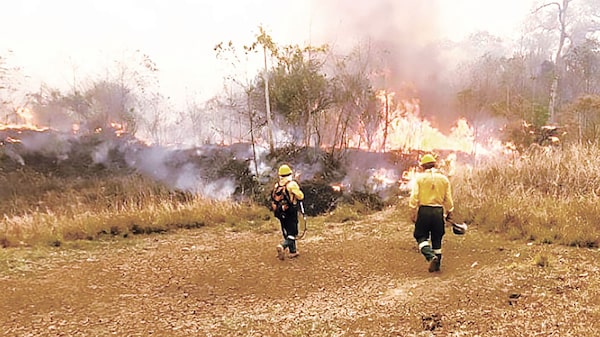 Bolivia declara desastre nacional por incendios y busca créditos para atenderlos Bolivia declara desastre nacional por incendios y busca créditos para atenderlos