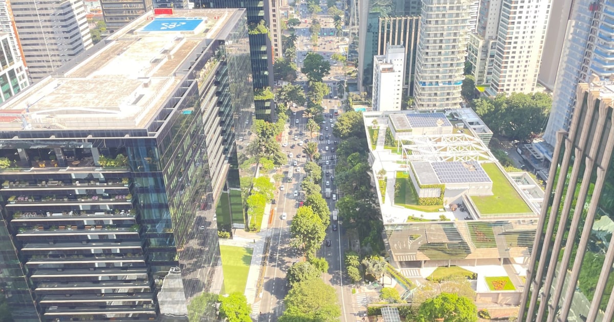Faria Lima Vê Futuro Governo Sob Pressão: Promessas Eleitorais vs. Ajuste Fiscal