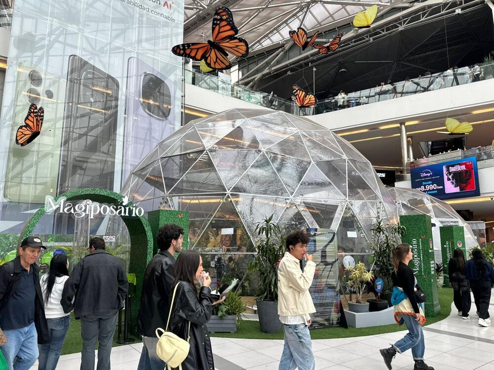 La venta de mariposas vivas: un negocio de Colombia que también cobra fuerza afuera La venta de mariposas vivas: un negocio de Colombia que también cobra fuerza afuera