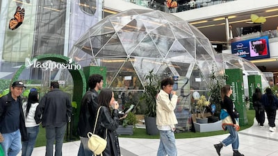 ¿Por qué alcanzar una inflación del 3% es clave para la economía colombiana? ¿Por qué alcanzar una inflación del 3% es clave para la economía colombiana?