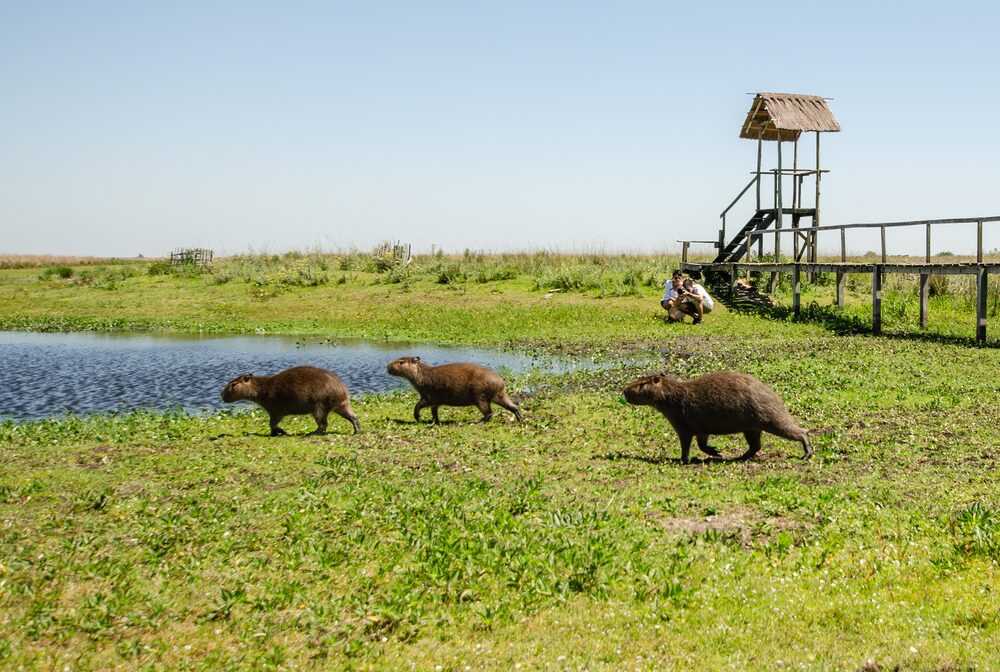 Foto: Gentileza Ministerio de Turismo de Corrientes. Foto: Gentileza Ministerio de Turismo de Corrientes.