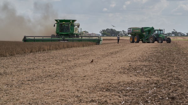 Un menor gasto de los agricultores de Brasil golpea a los fabricantes de tractores Un menor gasto de los agricultores de Brasil golpea a los fabricantes de tractores